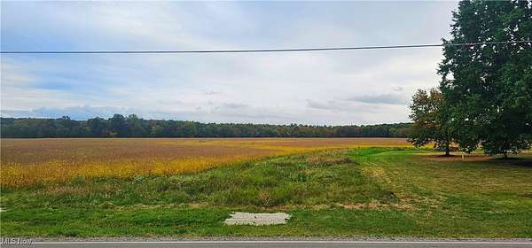 15 Acres of Land for Sale in Medina, Ohio