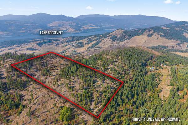 20 Acres of Recreational & Residential Land for Sale in Rice, Washington