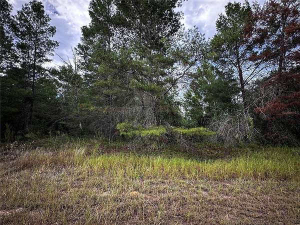 0.23 Acres of Residential Land for Sale in Ocklawaha, Florida