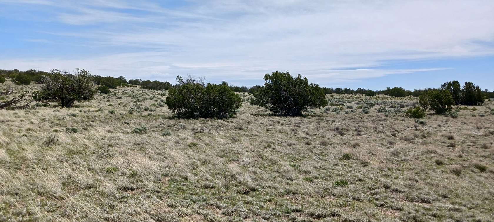 1.24 Acres of Residential Land for Sale in Sanders, Arizona
