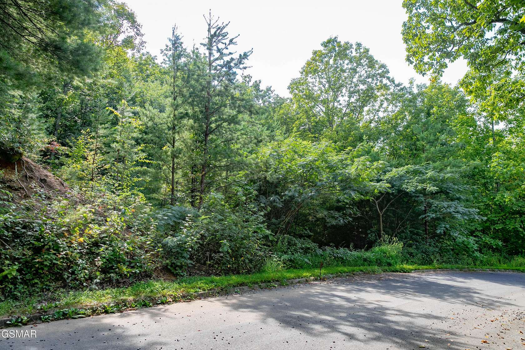 1.28 Acres of Residential Land for Sale in Sevierville, Tennessee