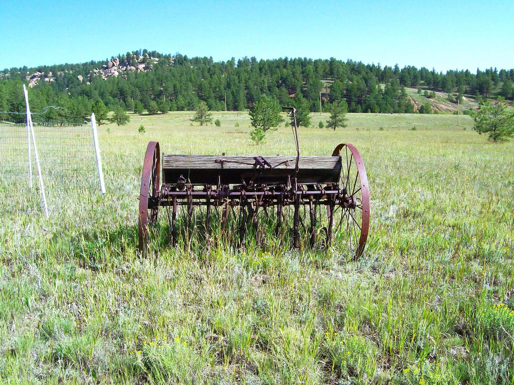 151 Acres of Recreational Land for Sale in Florissant, Colorado