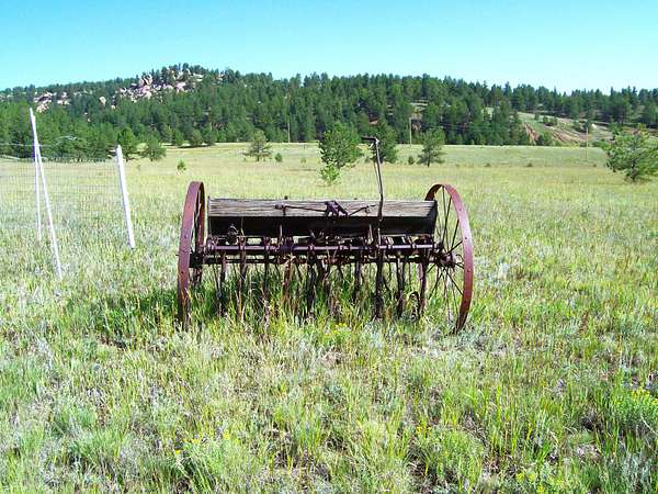 151 Acres of Recreational Land for Sale in Florissant, Colorado