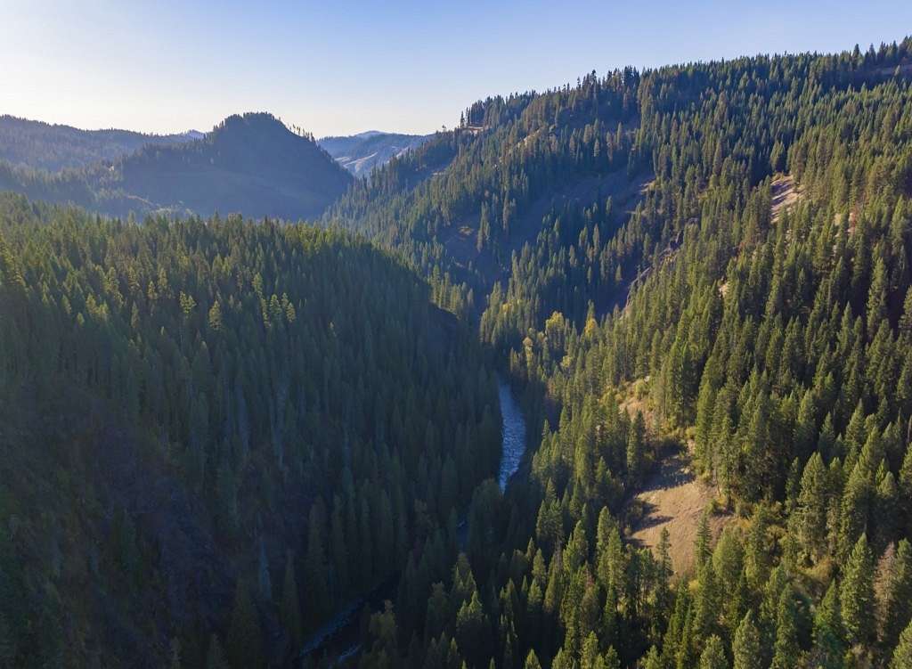 40 Acres of Recreational Land for Sale in Weippe, Idaho