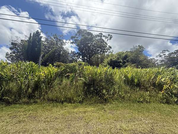 0.28 Acres of Land for Sale in Volcano, Hawaii