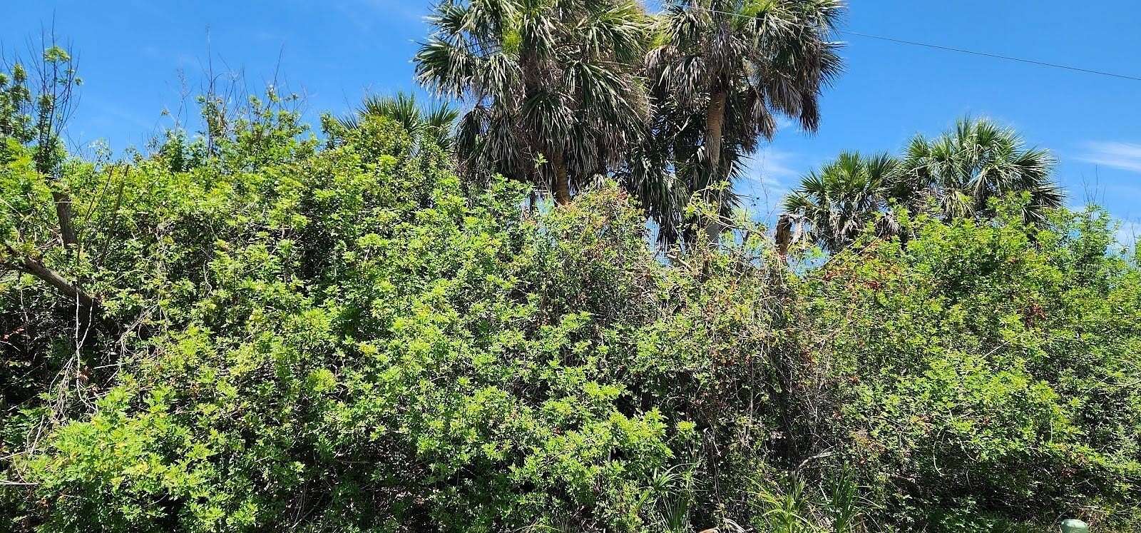 0.17 Acres of Residential Land for Sale in Rotonda West, Florida