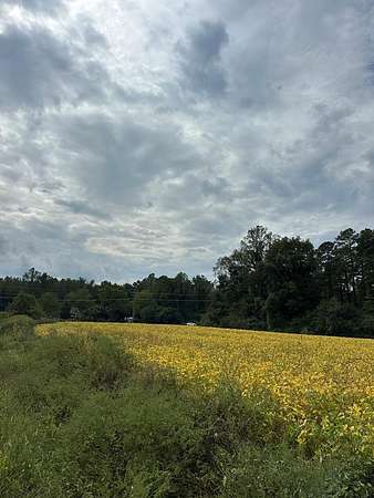 2 Acres of Residential Land for Sale in Warsaw, Virginia