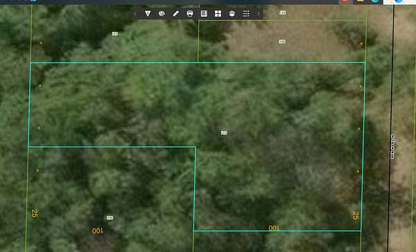 0.34 Acres of Residential Land for Sale in Bitely, Michigan