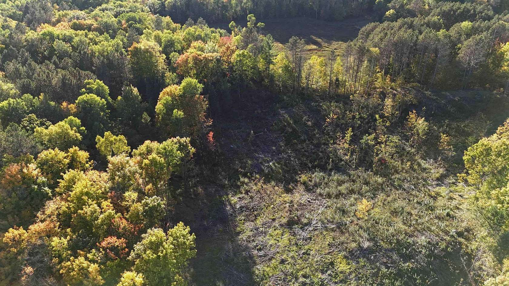 10.8 Acres of Recreational Land for Sale in Park Falls, Wisconsin