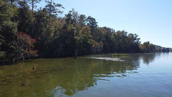 4 Acres of Residential Land for Sale in Bainbridge, Georgia