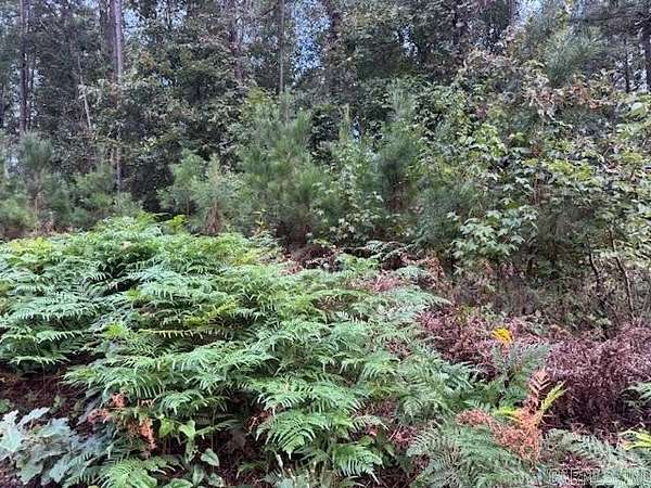 5 Acres of Land for Sale in Bonnerdale, Arkansas