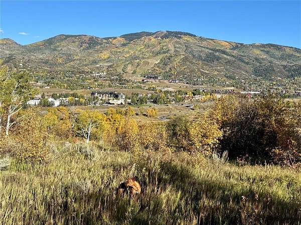 0.48 Acres of Residential Land for Sale in Steamboat Springs, Colorado