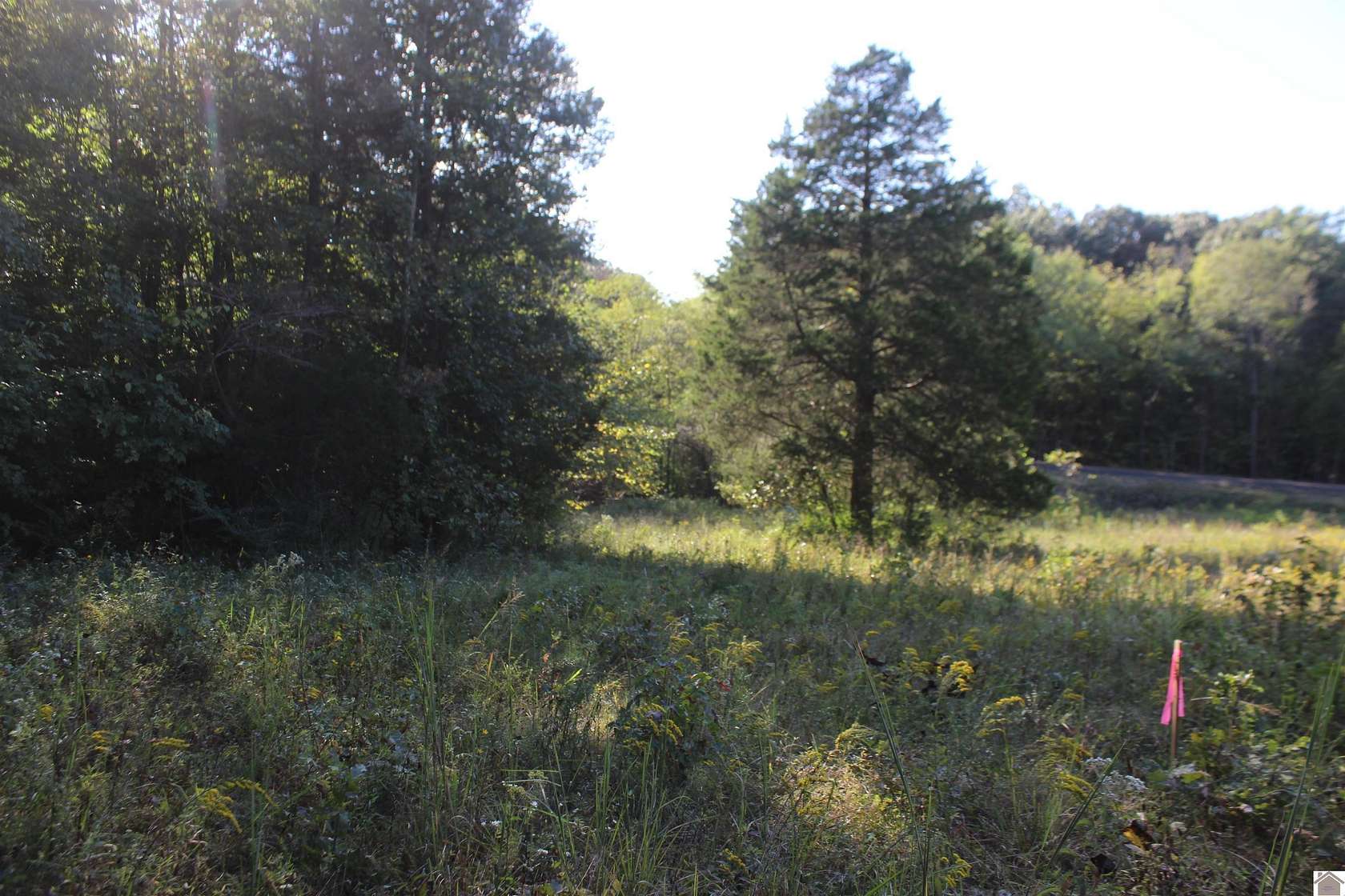 36.2 Acres of Recreational Land for Sale in Tribune, Kentucky