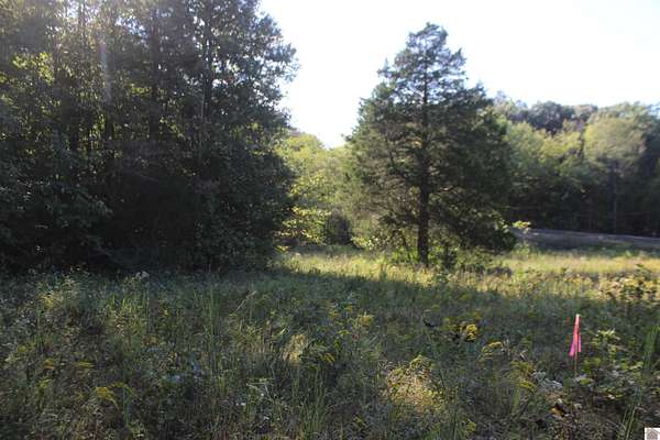 36.2 Acres of Recreational Land for Sale in Tribune, Kentucky