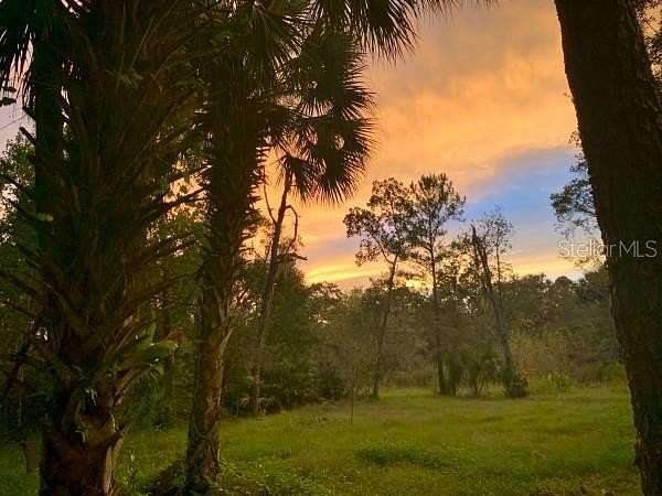 10 Acres of Land with Home for Sale in Geneva, Florida