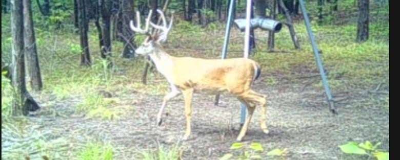 25.4 Acres of Recreational Land for Sale in Quinlan, Texas