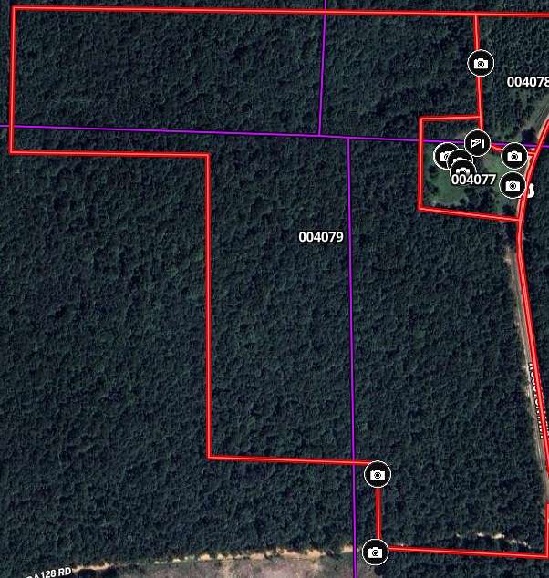 62.1 Acres of Recreational Land & Farm for Sale in Rosston, Arkansas