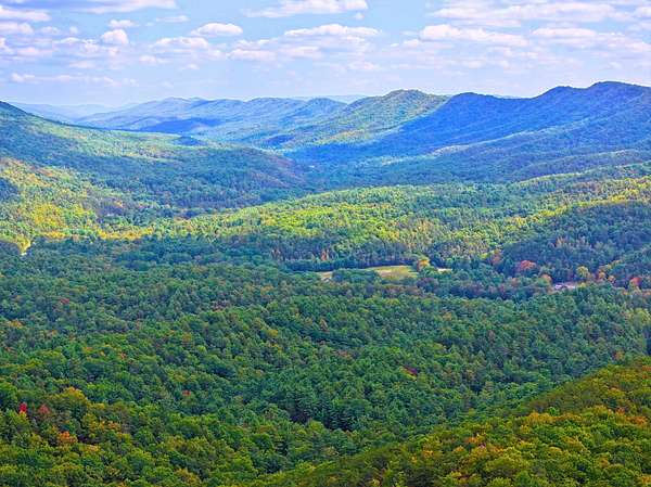 98 Acres of Recreational Land for Sale in Wytheville, Virginia