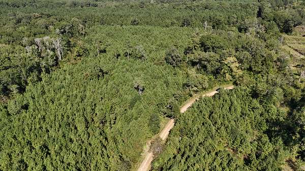 43.9 Acres of Recreational Land & Farm for Sale in Marion, Louisiana