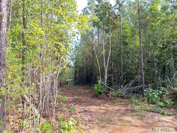 18.6 Acres of Recreational Land for Sale in Alberta, Virginia