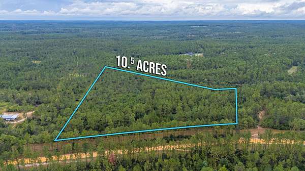 10.5 Acres of Recreational Land for Sale in Laurel Hill, Florida