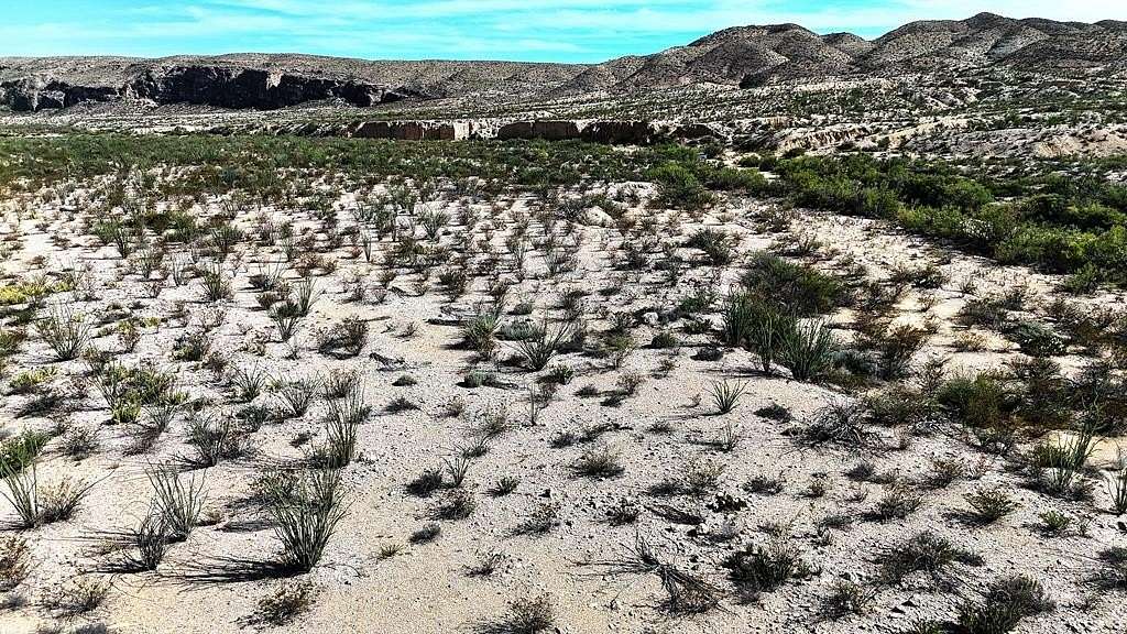 393 Acres of Land for Sale in Terlingua, Texas