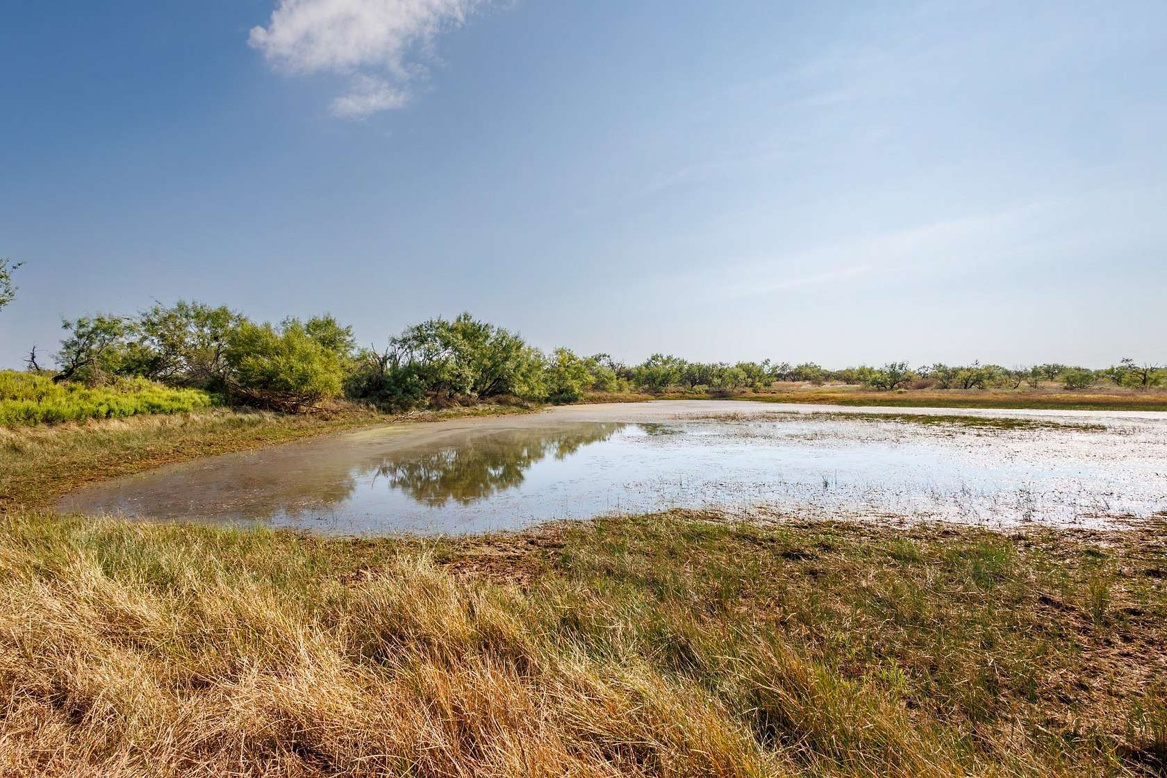 90.7 Acres of Land for Sale in Bangs, Texas