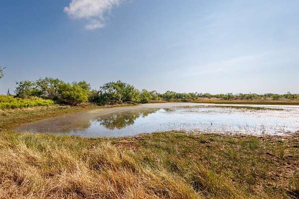 90.7 Acres of Land for Sale in Bangs, Texas