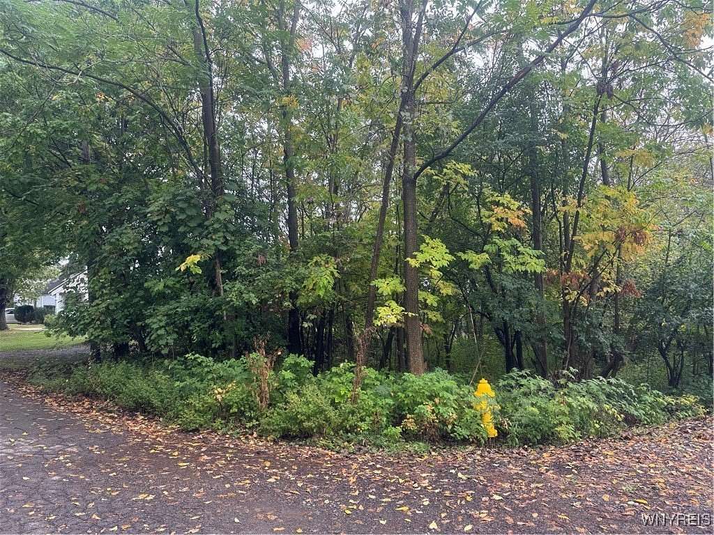 0.16 Acres of Residential Land for Sale in Orchard Park, New York