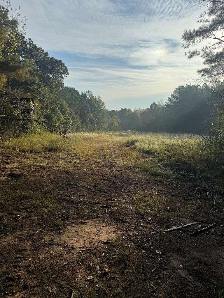 22.5 Acres of Land for Sale in Oxford, Mississippi
