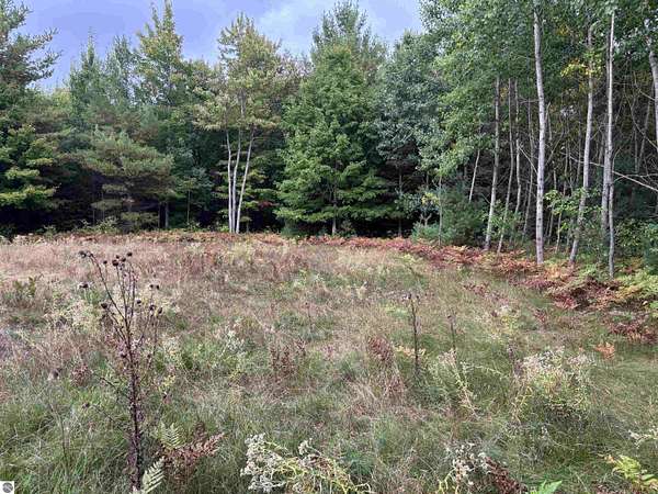10 Acres of Land for Sale in Traverse City, Michigan