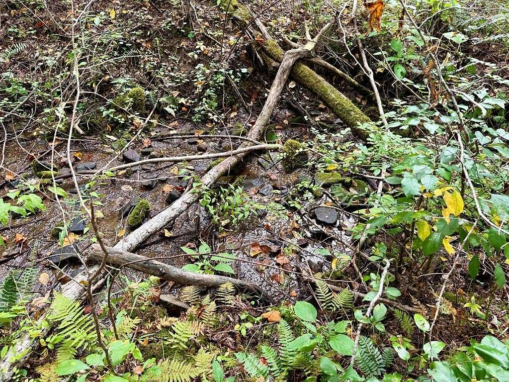 5.87 Acres of Residential Land for Sale in Tuckasegee, North Carolina