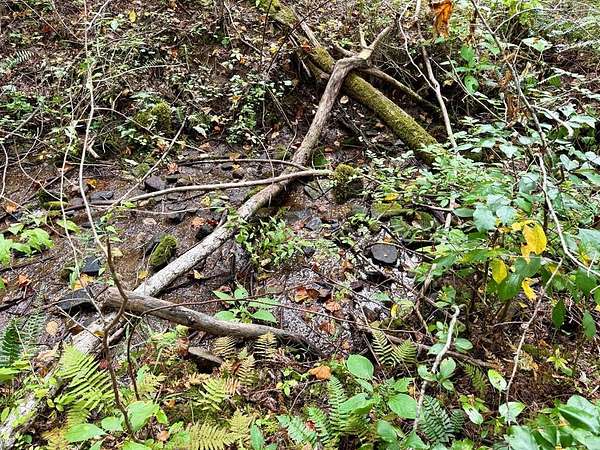 5.87 Acres of Residential Land for Sale in Tuckasegee, North Carolina