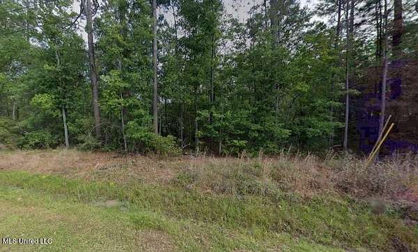 0.1 Acres of Residential Land for Sale in Bay St. Louis, Mississippi