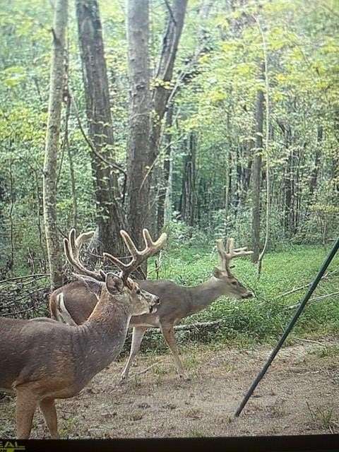 581 Acres of Recreational Land for Sale in Drakesboro, Kentucky