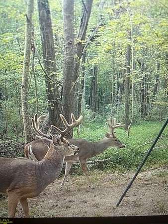 581 Acres of Recreational Land for Sale in Drakesboro, Kentucky