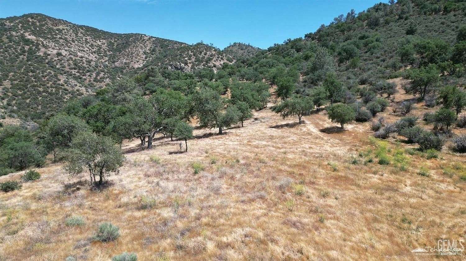40 Acres of Land for Sale in Caliente, California