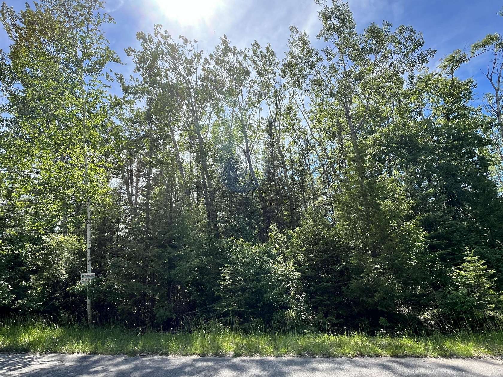 0.34 Acres of Land for Sale in Presque Isle, Michigan