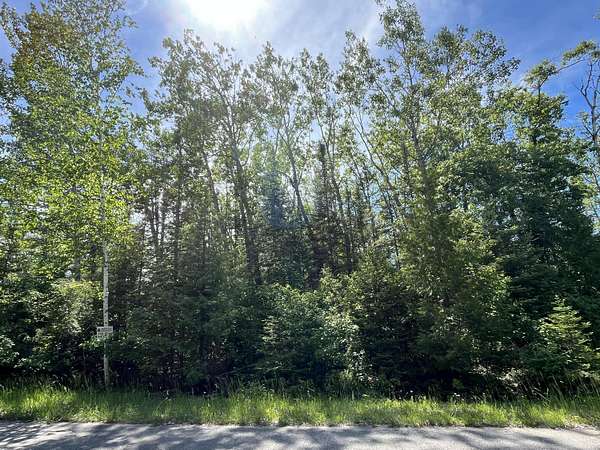 0.34 Acres of Land for Sale in Presque Isle, Michigan