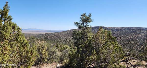40 Acres of Recreational Land for Sale in Ash Fork, Arizona