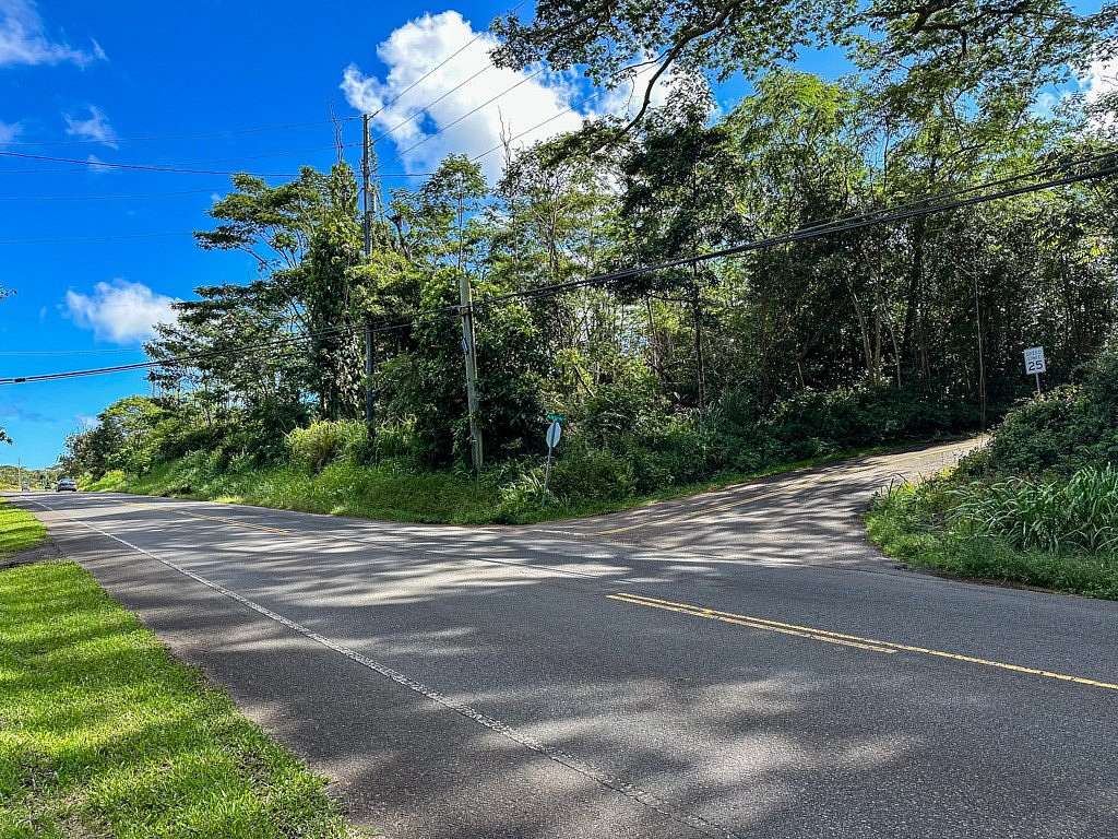 81.2 Acres of Land for Sale in Pahoa, Hawaii