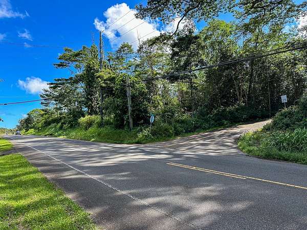 81.2 Acres of Land for Sale in Pahoa, Hawaii
