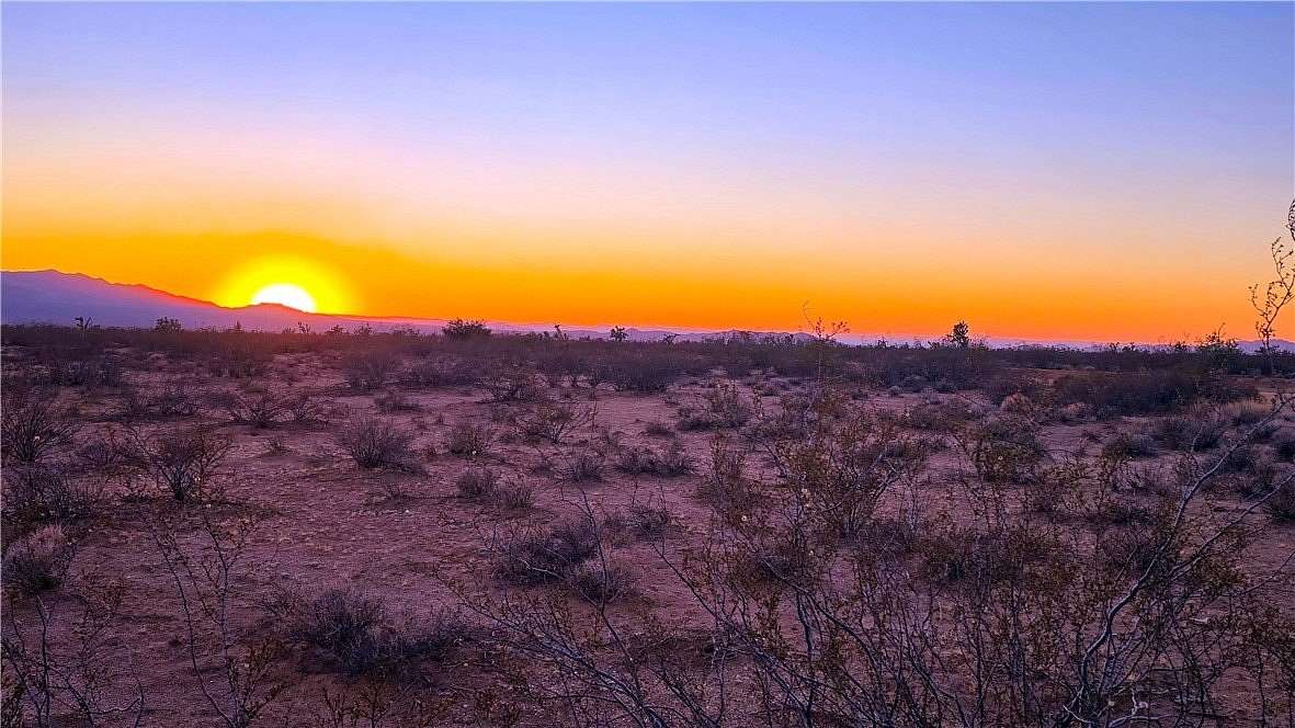 40 Acres of Land for Sale in Yucca, Arizona