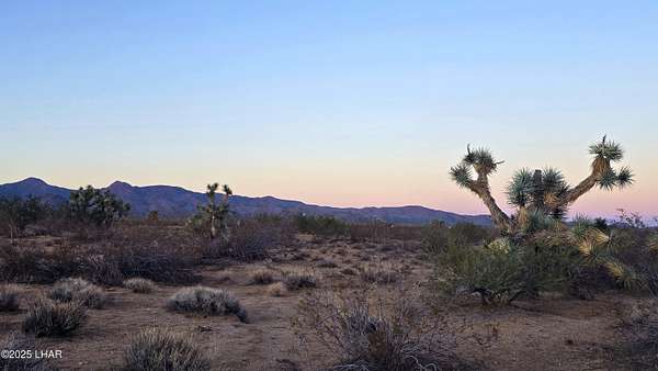 40 Acres of Recreational Land for Sale in Yucca, Arizona