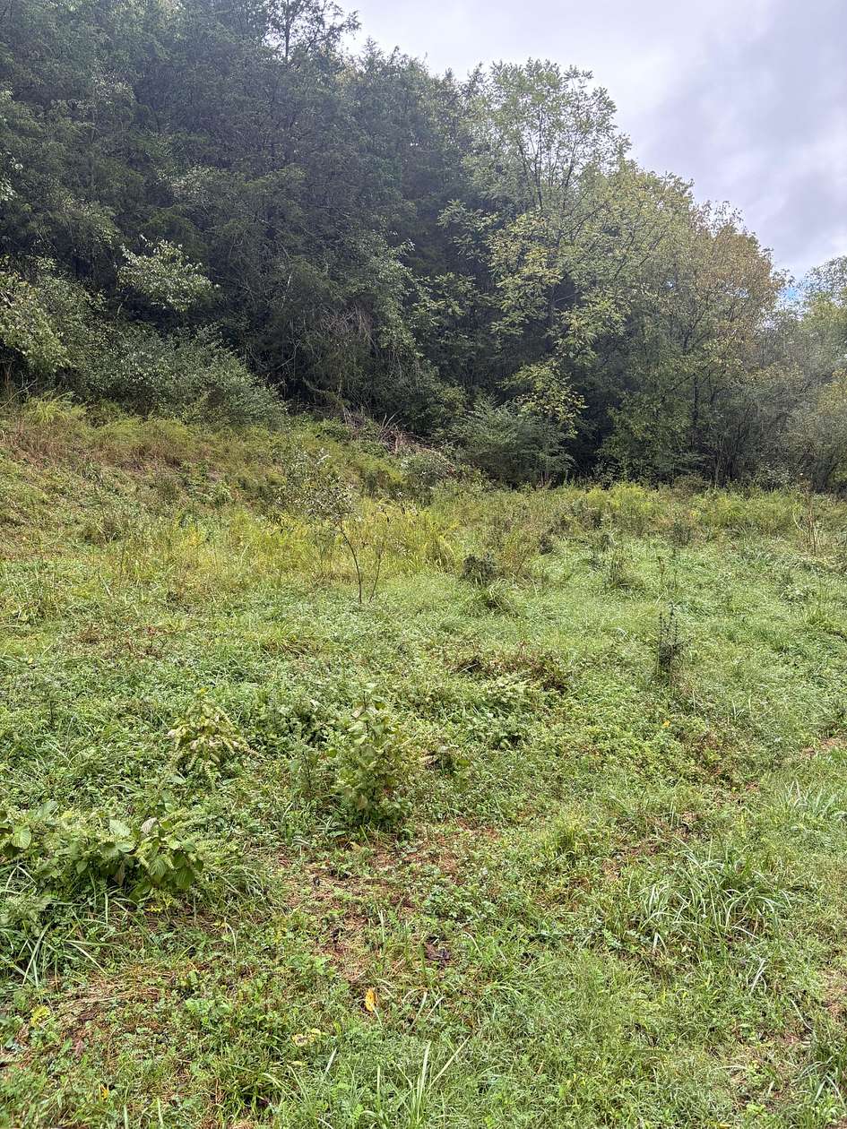 50.5 Acres of Recreational Land for Sale in Gainesboro, Tennessee