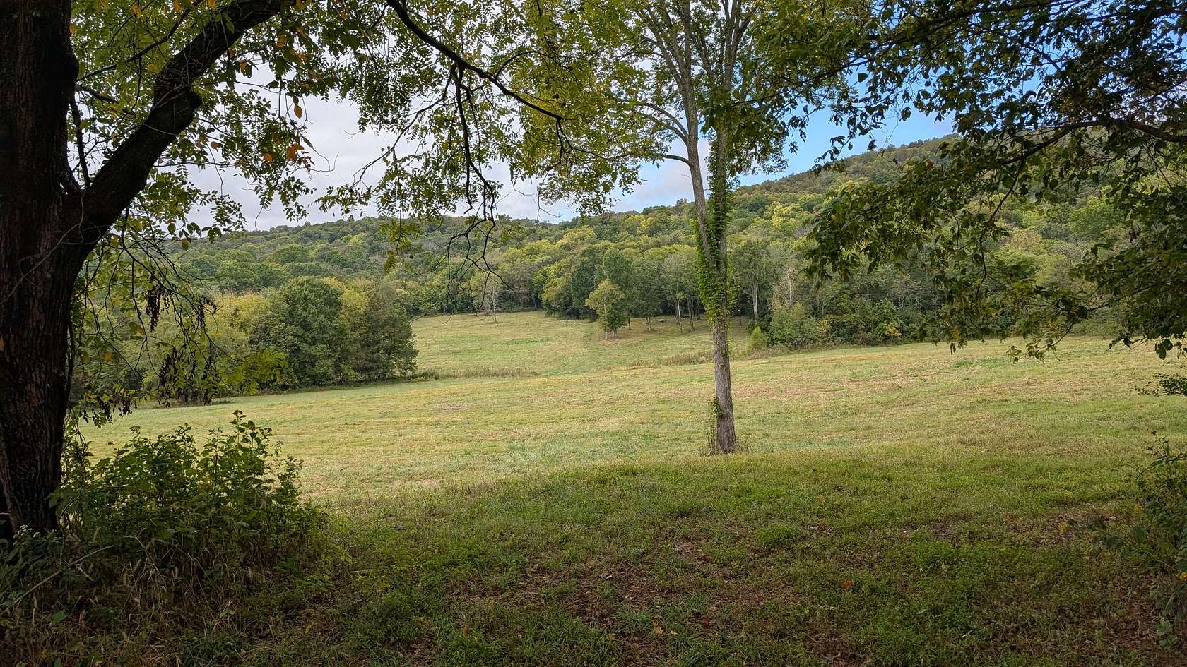 123 Acres of Land for Sale in Lebanon, Tennessee