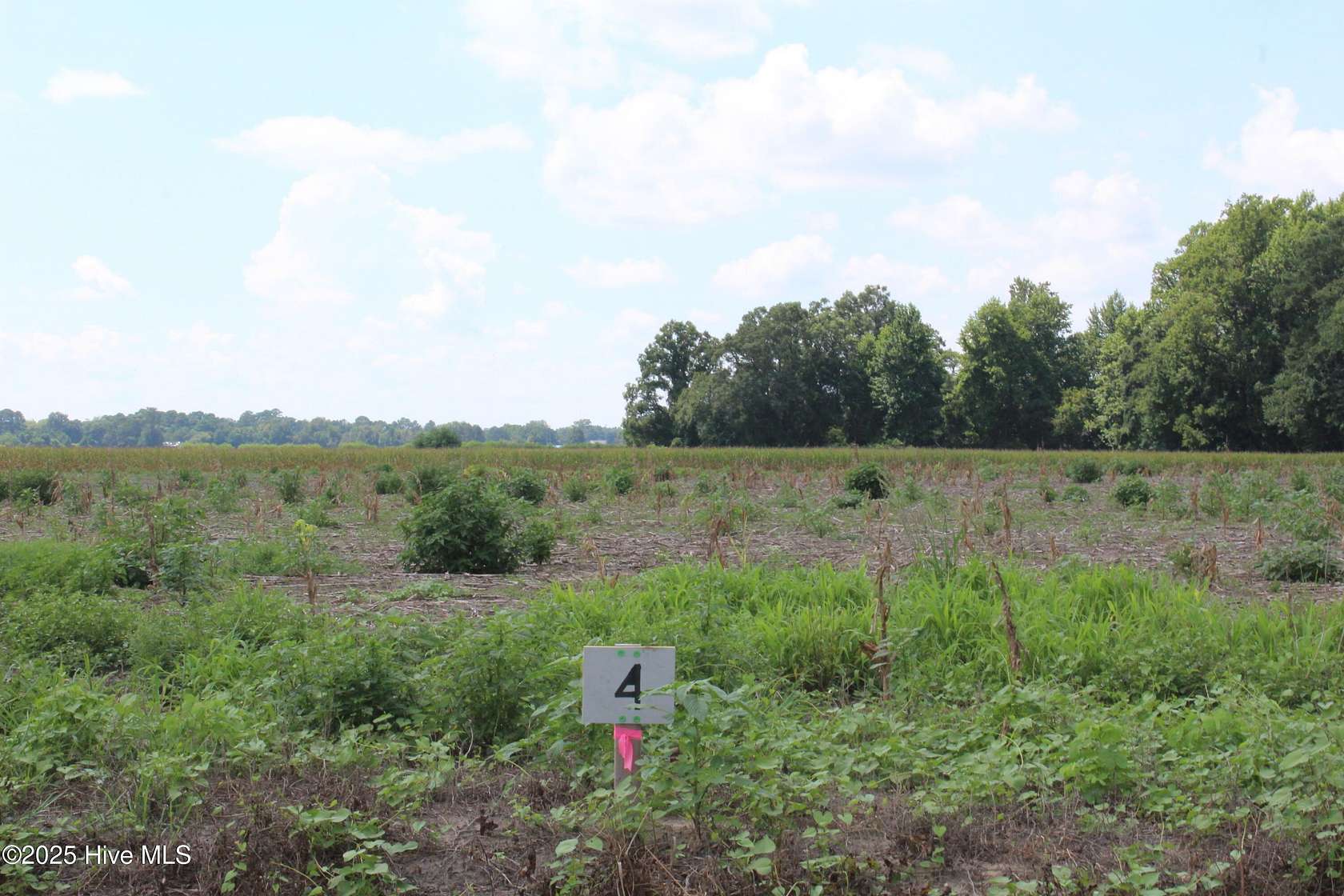 1.83 Acres of Residential Land for Sale in Kinston, North Carolina