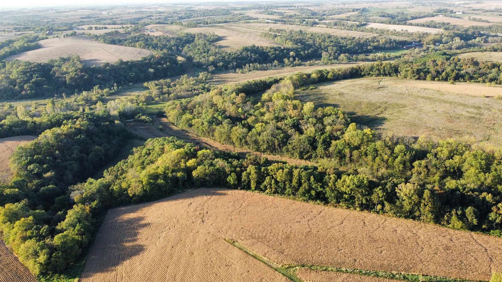 27 Acres of Agricultural Land for Sale in Argyle, Wisconsin
