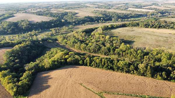 27 Acres of Agricultural Land for Sale in Argyle, Wisconsin