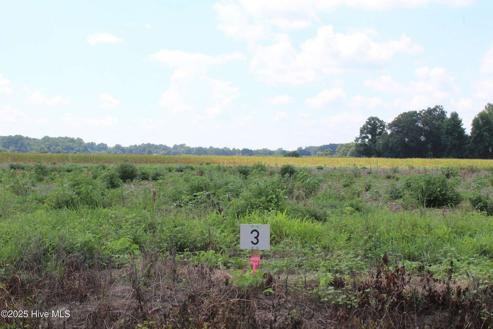 1.64 Acres of Residential Land for Sale in Kinston, North Carolina